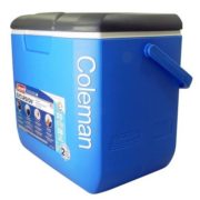 11224182_1GG 11224182_1GG